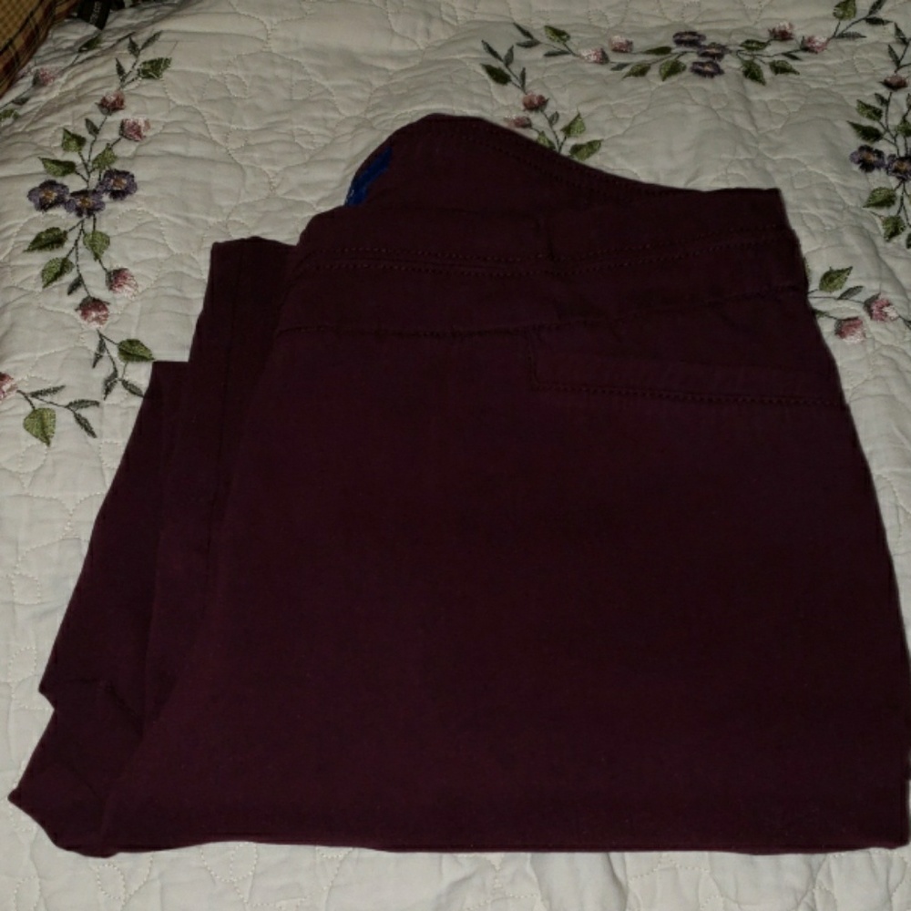 Dress pants